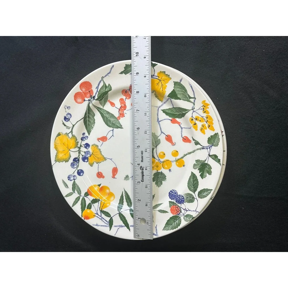 Crate & Barrel Italy Berry Botanical Dinner Plates Set of 2 White Ceramic 10.75